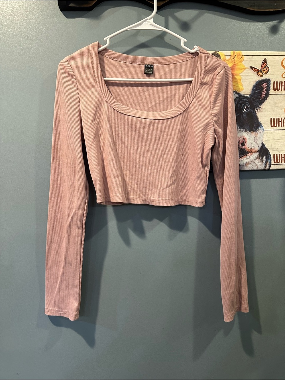 Women's Long Sleeve Cropped Scoop Neck Top - Dusty Pink